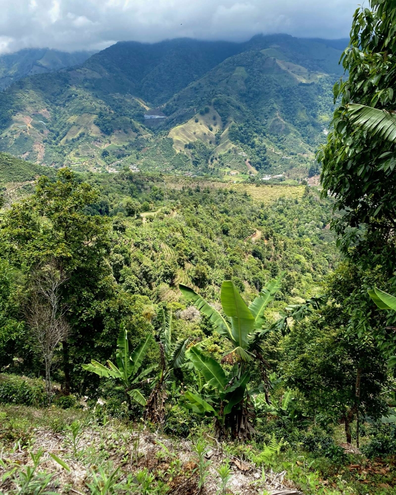 El Higueron - COSTA RICA